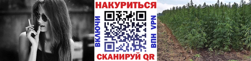Шишки марихуана AK-47 Куса